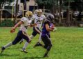 ni mansell transfer south carolina football
