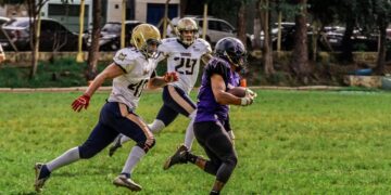 ni mansell transfer south carolina football