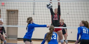 nicklin hames webb school volleyball coach