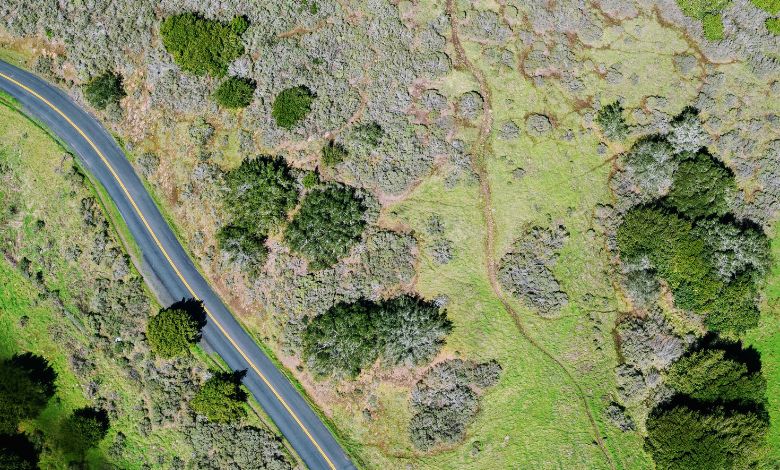 oldest google maps street view