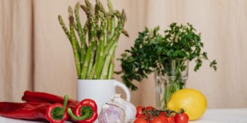 fight the vegans willis tab