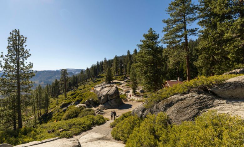 glacier national park staffing cuts protest